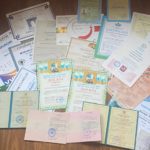 Дипломы и сертификаты Мягков Иван